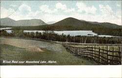 Wilson Pond Near Moosehead Lake Postcard