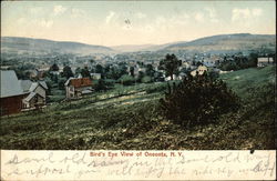 Bird's Eye View Oneonta, NY Postcard Postcard