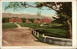 University of California Postcard