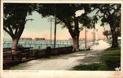 The Shell Road Postcard