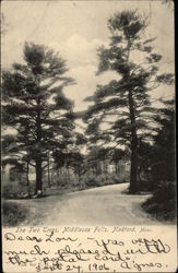 The Two Trees, Middlesex Falls Medford, MA Postcard Postcard