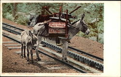 I Helped Build Pike's Peak Railway Postcard