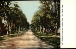 Hillbouse Avenue and Sachems Wood New Haven, CT Postcard Postcard