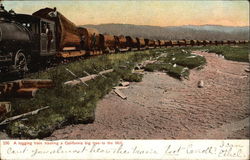 A Logging Train Hauling a California Big Tree to the Mill Postcard