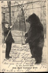 Kodiak Bear, New York Zoological Park Postcard