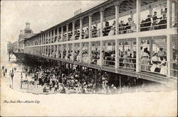 The Steel Pier Atlantic City, NJ Postcard Postcard