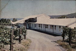 Vinehurst Motel Hammondsport, NY Postcard Postcard