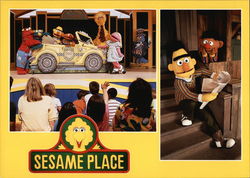 Sesame Place Amusement Parks Postcard Postcard