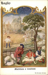 July - Sheep Shearing Scene Postcard