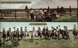 Silver City Cattle Scenes Postcard