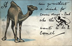 A Camel Can Go Without a Drink for Seven Days - But Who the Devil Wants to be a Camel? Postcard