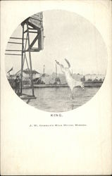 King, J. W. Gorman's High Diving Horses Postcard