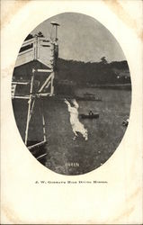 J.W. Gorman's High Diving Horses Postcard