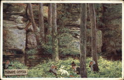 Trolls with a Rabbit in the Forest Postcard