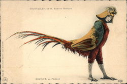 Woman dressed as colorful Bird Fantasy Postcard Postcard