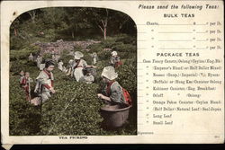 Tea Picking - Chase & Sanborn Tea and Coffee Importers Advertising Postcard Postcard