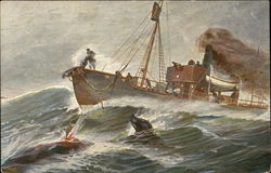 Fishing Boat Spearing Whale on the Waves Postcard