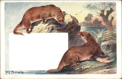 Two Otters and a Fish Postcard