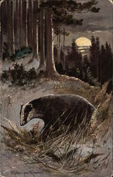 A Badger in the Moonlight Postcard Postcard