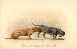 Ein seltsamer Fund Postcard