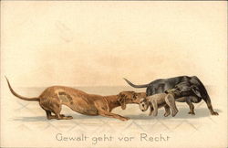 Gewalt geht vor Recht Postcard