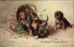 Black & Tan Puppies in a Basket Postcard