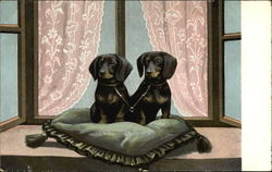 2 Daschund Puppies Ditting on Pillow Postcard