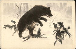 Pack of Dogs Surrounding Large Bear Multiple Animals Postcard Postcard