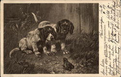 Two Puppies watching a Frog Multiple Animals Postcard Postcard