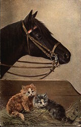 Black Horse Standing Near Two Kittens Postcard