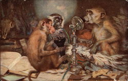 Three Monkeys Playing With A Phone Postcard Postcard