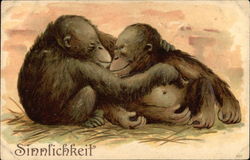 Two Baby Orangutans Monkeys Postcard Postcard