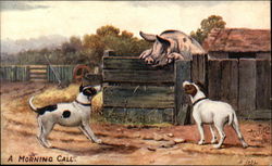 "A Morning Call" - Dogs at the Pig Pen Postcard Postcard