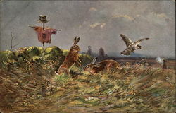 Vegetable Garden Scene with 2 Rabbits, a Bird, and a Hunter Postcard