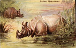 Indian Rhinoceros Standing in Water Postcard Postcard