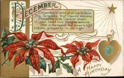 A Happy Birthday, December Postcard Postcard