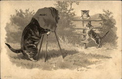 Tiger Cat Taking Photo of Two Tiger Kittens by a Fence Postcard