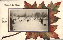 Land of the Maple, Tobogganing in High Park, Toronto Postcard