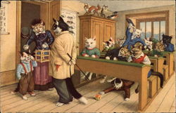 Cats Dressed like People in a Schoolroom Postcard Postcard