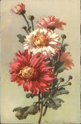 Pink & Red Flowers with Buds & Leaves Postcard Postcard