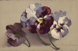 Three Violets Flowers Postcard Postcard