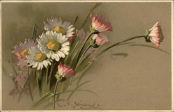 Painting of Pink, White & Yellow Daisies Flowers Postcard Postcard