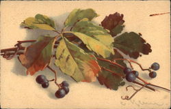 Purple Grapes on Vine Fruit Postcard Postcard