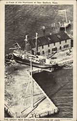 A freak of the hurricane at New Bedford, Mass Postcard