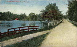 Roosevelt's Pond, Long Island Postcard