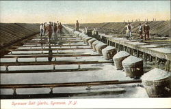 Syracuse Salt Yards Postcard