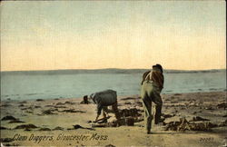 Clam Diggers Gloucester, MA Postcard Postcard