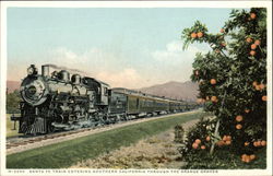 Santa Fe Train Entering Southern California Through the Orange Groves Postcard