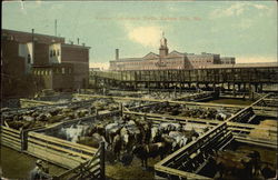 Kansas City Stock Yards Missouri Postcard Postcard