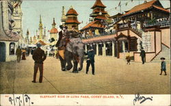 Elephant Ride in Luna Park Postcard